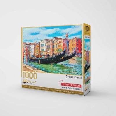 Grand Canal 1000 Pieces Jigsaw Puzzle for Adults by Brain Tree Games LLC