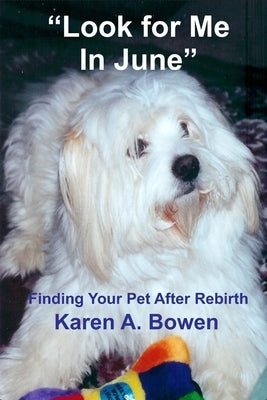 Look For Me in June: Finding Your Pet After Rebirth by Bowen, Karen a.