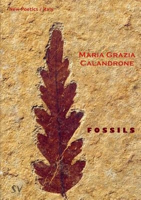 Fossils by Calandrone, Maria Grazia