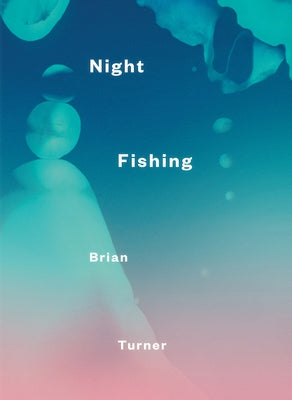 Night Fishing by Turner, Brian