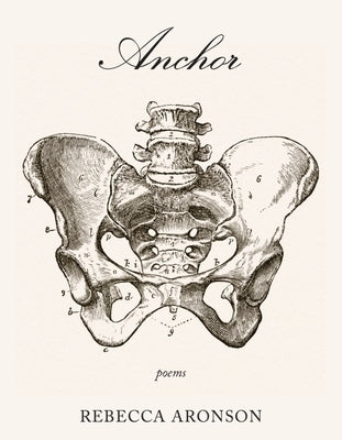 Anchor by Aronson, Rebecca