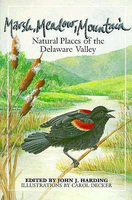 Marsh Meadow Mountain by Harding, John