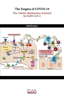 The Enigma of COVID-19: The Cellular Mechanisms Activated by SARS-CoV-2 by Kircheis, Ralf