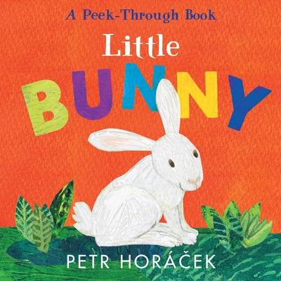 Little Bunny by Horacek, Petr