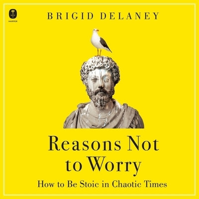 Reasons Not to Worry: How to Be Stoic in Chaotic Times by Delaney, Brigid