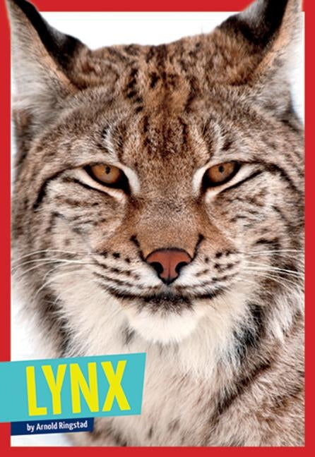 Lynx by Ringstad, Arnold