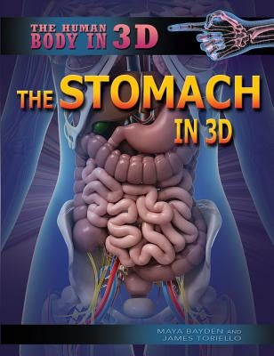 The Stomach in 3D by Bayden, Maya