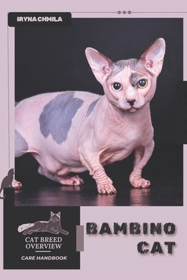 Bambino Cat: Cat breed overview, care handbook by Chmila, Iryna