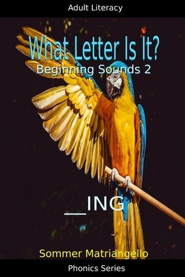 What Letter Is It? Beginning Sounds 2 by Matriangello, Sommer