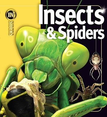 Insects & Spiders by Tait, Noel