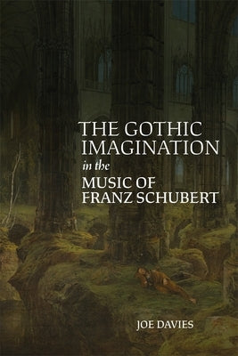 The Gothic Imagination in the Music of Franz Schubert by Davies, Joe
