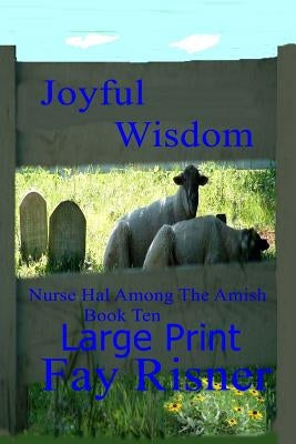 Joyful Wisdom: Nurse Hal Among The Amish by Risner, Fay