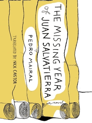 The Missing Year of Juan Salvatierra by Mairal, Pedro
