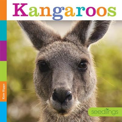 Kangaroos by Riggs, Kate