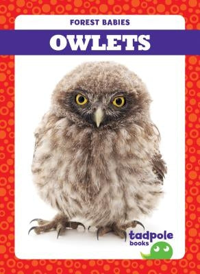 Owlets by Nilsen, Genevieve