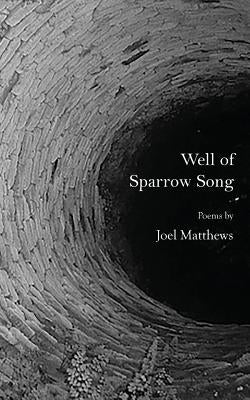 Well of Sparrow Song by Matthews, Joel