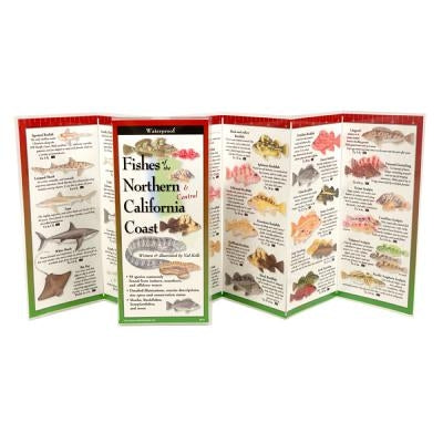 Fishes of Northern & Central California Coast by Kells, Val