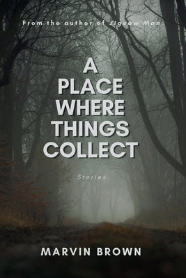 A Place Where Things Collect by Brown, Marvin