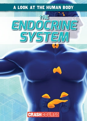 The Endocrine System by Edwards, Jonas