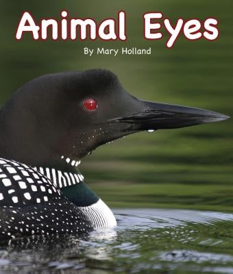 Animal Eyes by Holland, Mary