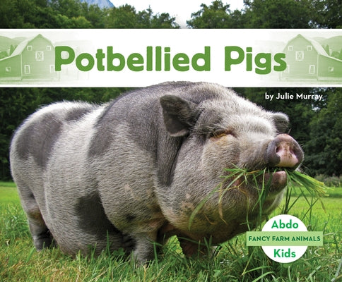 Potbellied Pigs by Murray, Julie