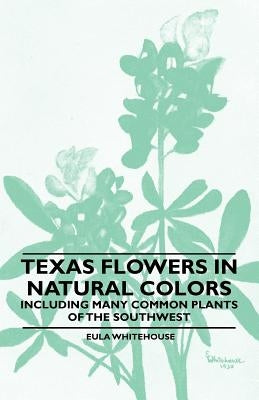 Texas Flowers in Natural Colors - Including Many Common Plants of the Southwest by Whitehouse, Eula
