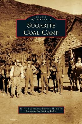 Sugarite Coal Camp by Veltri, Patricia