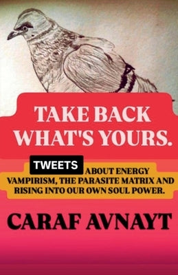 Take Back What's Yours by Avnayt, Caraf