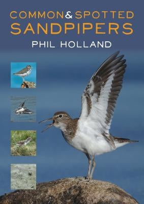 Common & Spotted Sandpipers by Holland, Phil
