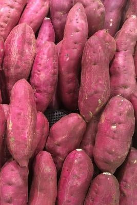 Sweet Potatoes: The Sweet Potato Is a Dicotyledonous Plant That Belongs to the Bindweed or Morning Glory Family, Convolvulaceae. Its L by Journals, Planners and