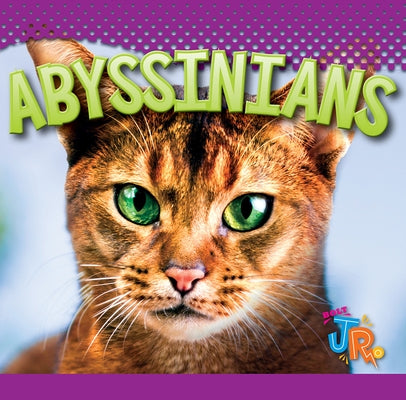 Abyssinians by Storm, Marysa
