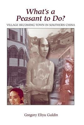 What's a Peasant to Do? Village Becoming Town in Southern China by Guldin, Greg