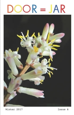 Door = Jar: Door Is A Jar Issue 6 Winter 2017 by LLC, Door Is a. Jar