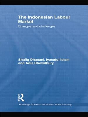 The Indonesian Labour Market: Changes and challenges by Dhanani, Shafiq