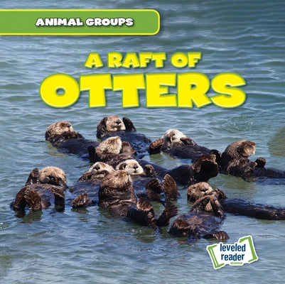 A Raft of Otters by Lynch, Seth