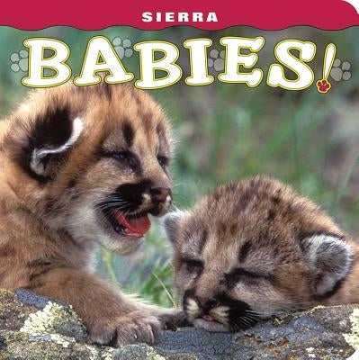 Sierra Babies! by Shattil, Wendy