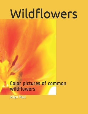 Wildflowers: Color pictures of common wildflowers by Paul, Allen