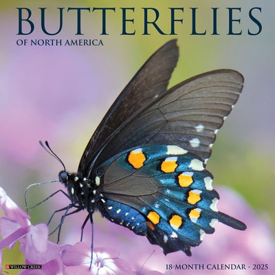 Butterflies 2025 12 X 12 Wall Calendar by Willow Creek Press