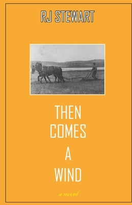 Then Comes a Wind by Stewart, Ronald (Rj)
