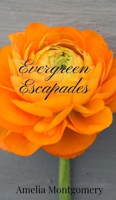 Evergreen Escapades by Montgomery, Amelia