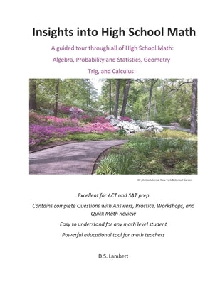 Insights into High School Math: Contains questions with answers, workshops, and review by Lambert, D. S.