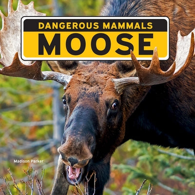 Moose by Parker, Madison