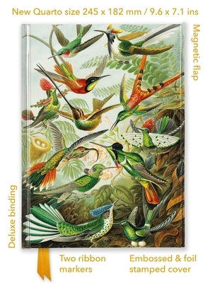Ernst Haeckel: Hummingbirds (Foiled Quarto Journal) by Flame Tree Studio
