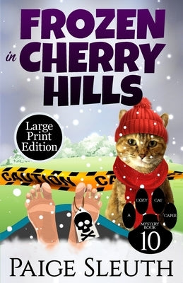 Frozen in Cherry Hills by Sleuth, Paige