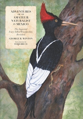 Adventures of an Amateur Naturalist in Mexico: The Imperial Ivory-billed Woodpecker, Revisited by Bruce, Todd