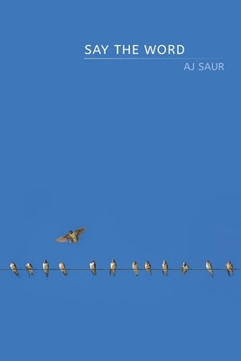 Say the Word by Saur, Aj