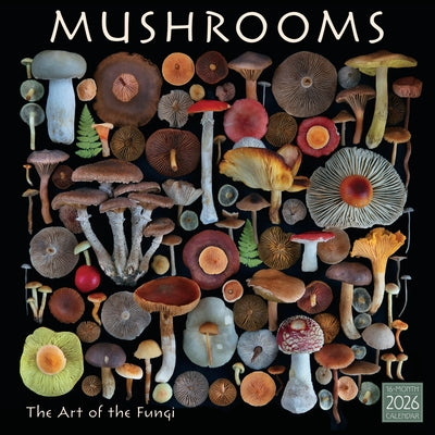 2026 Mushrooms: The Art of the Fungi Wall Calendar by Schmid, Moritz