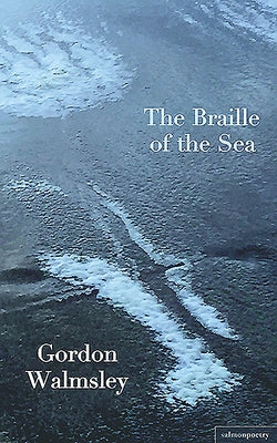 The Braille of the Sea by Walmsley, Gordon
