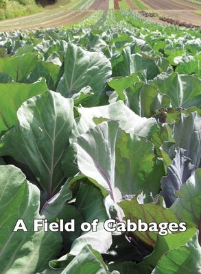 A Field of Cabbages by Frost, Allen