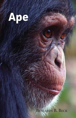 Ape by Beck, Benjamin B.